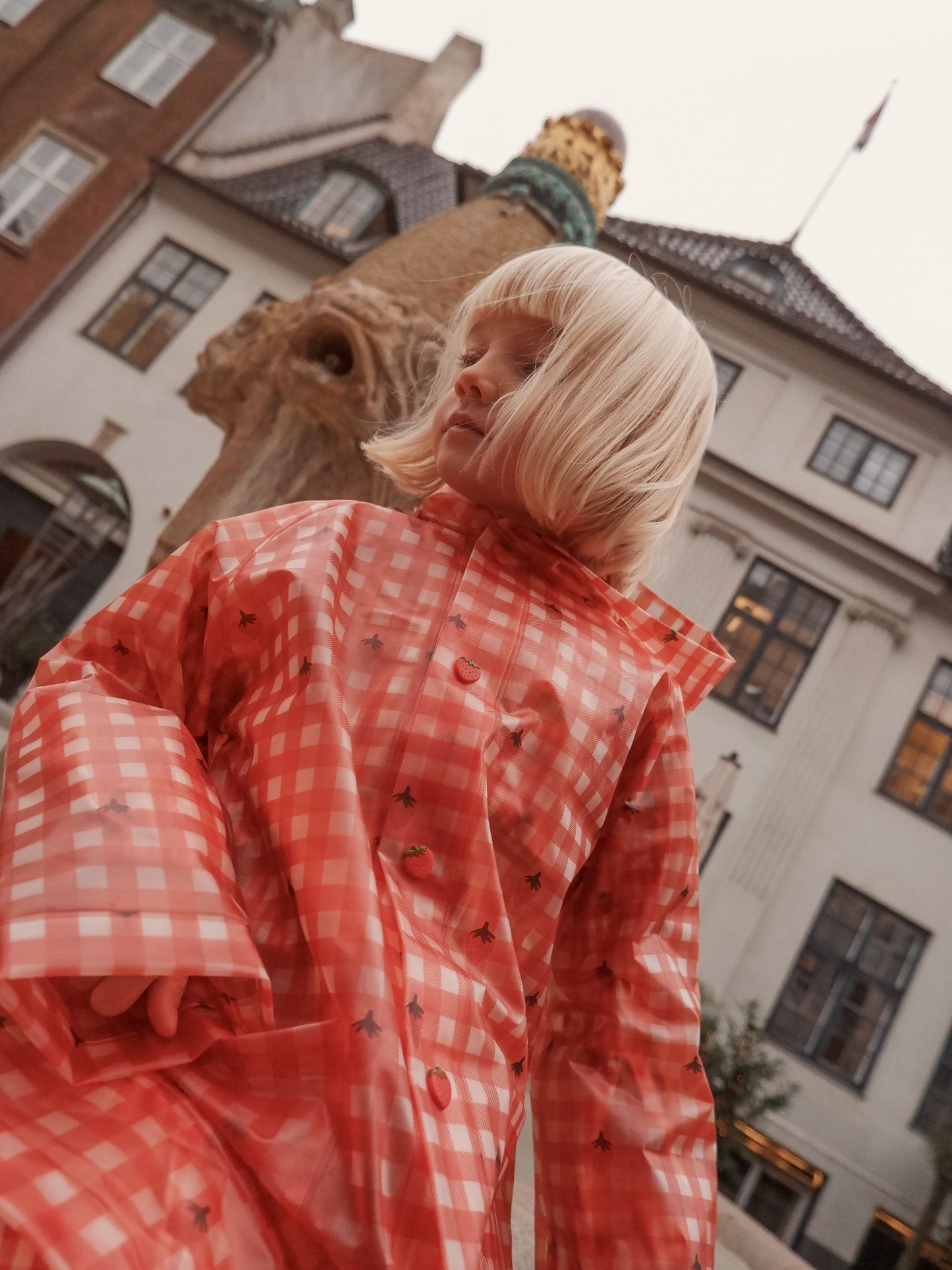 Caila Regenmantel – Berry Gingham