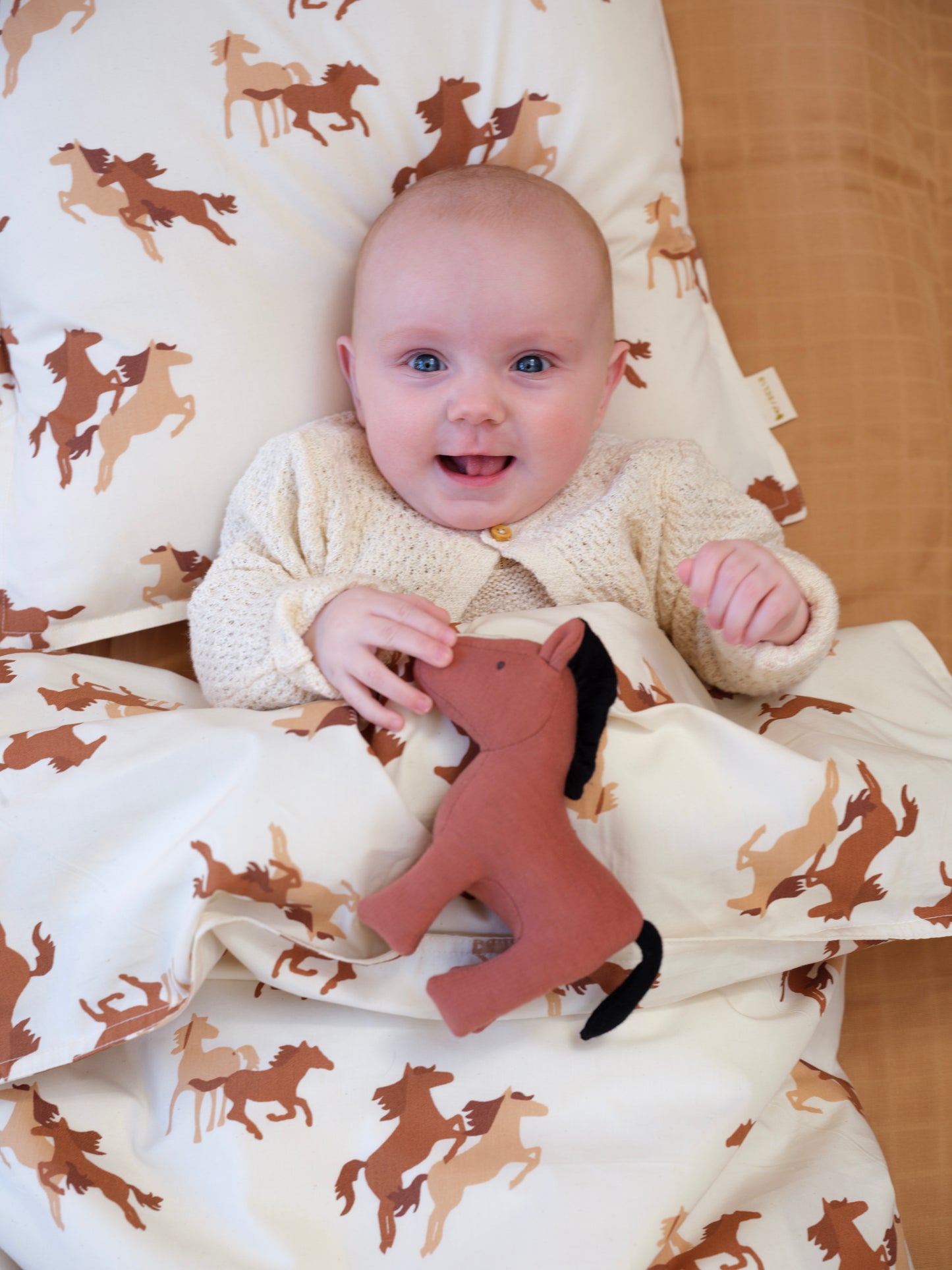 Rassel – Pferd Hildur