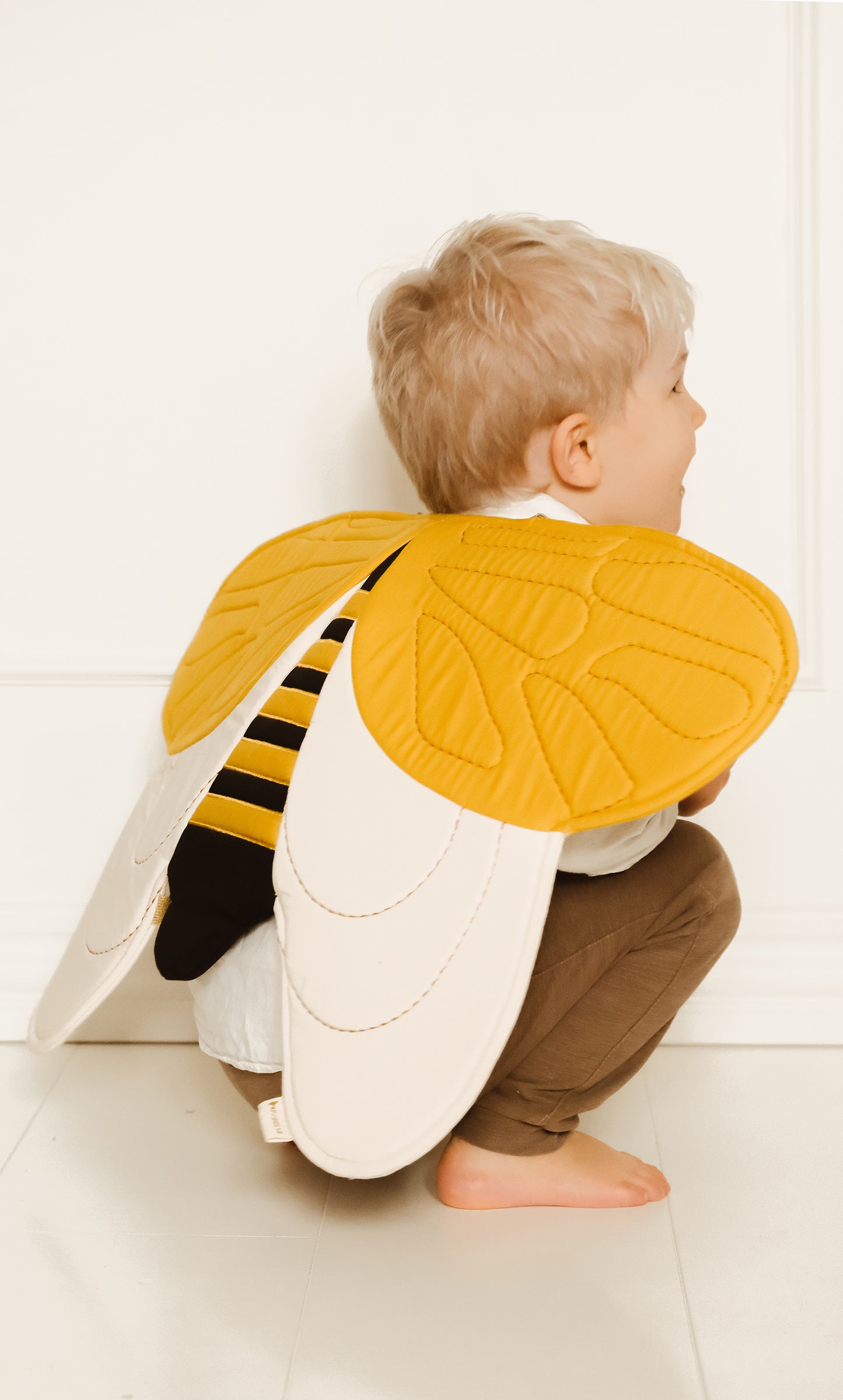 Flügel einer Hummel