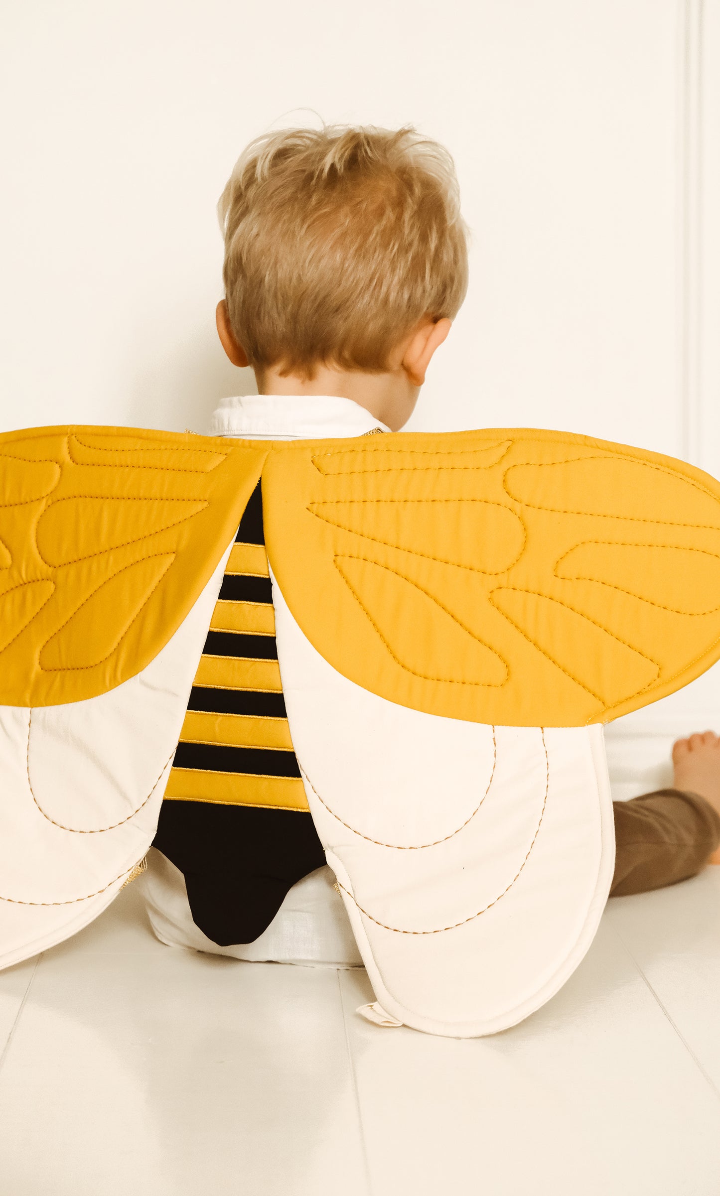 Flügel einer Hummel