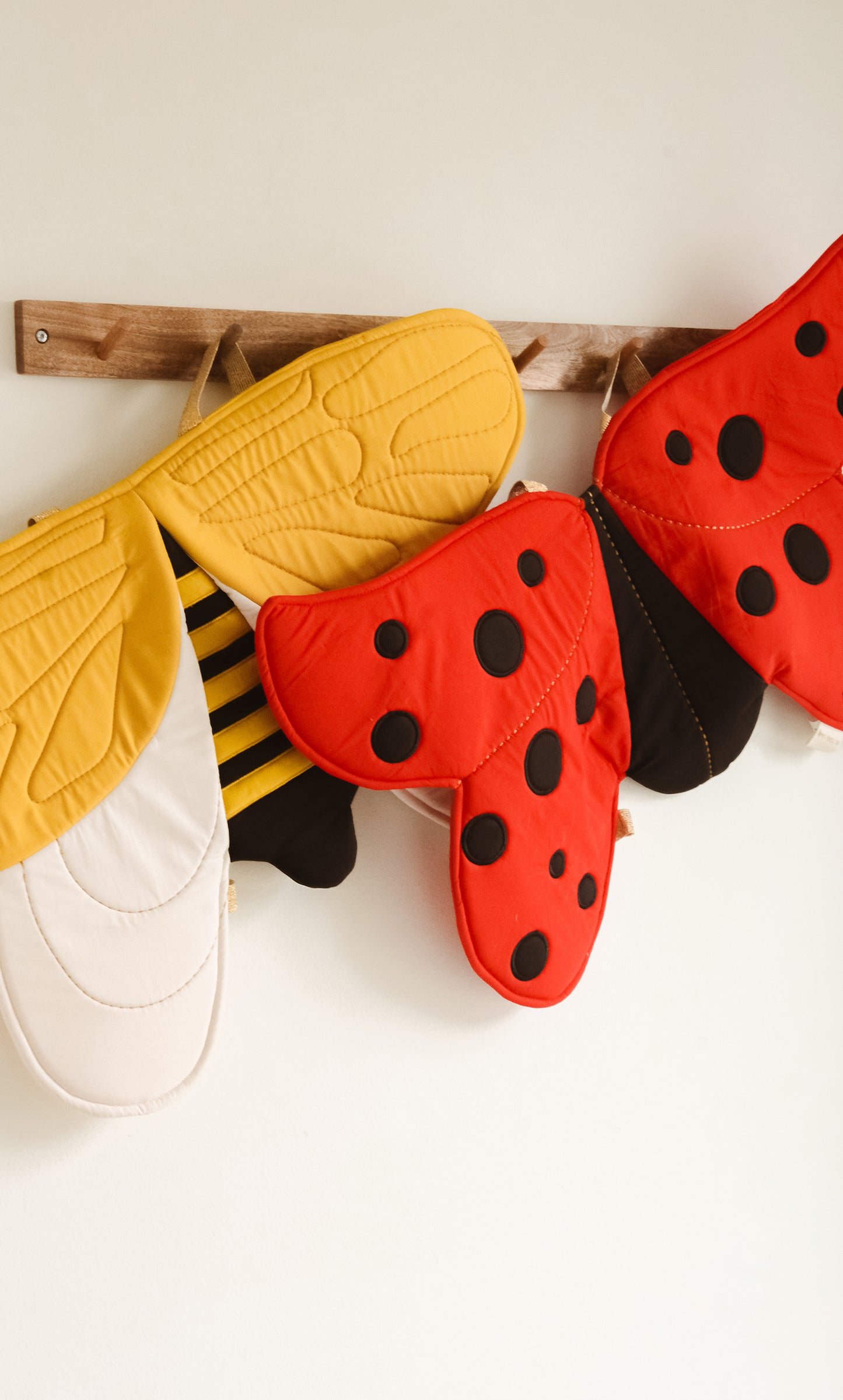 Flügel eines Marienkäfers