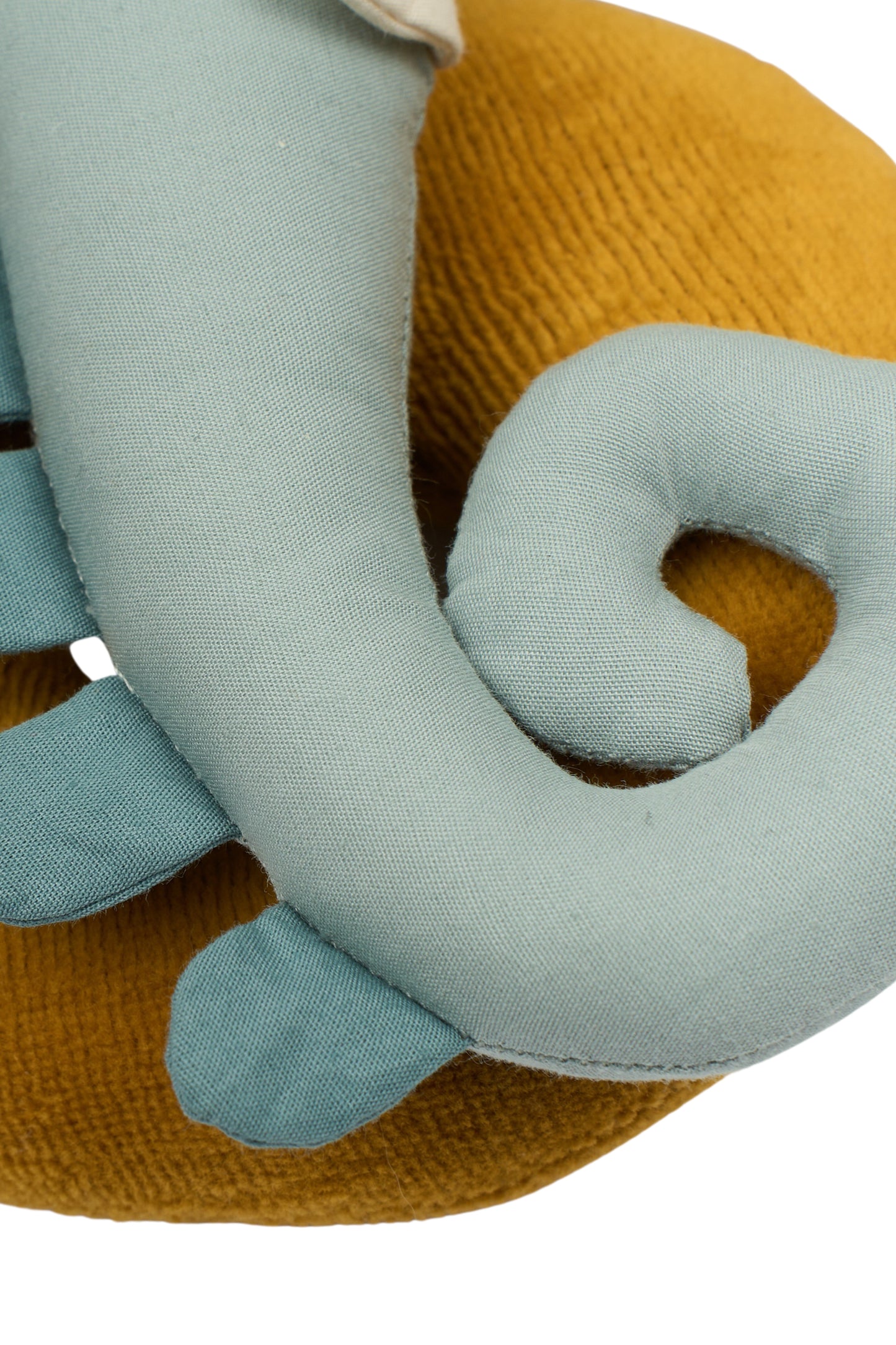 Rassel – Seepferdchen